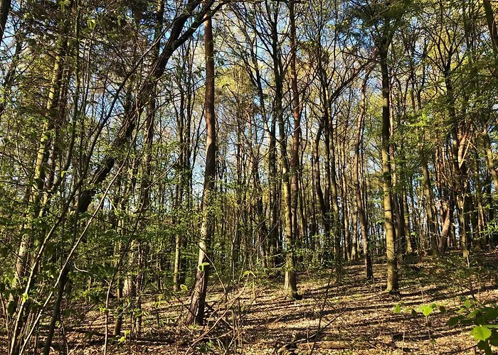 Lakehouse Nakielno Валч